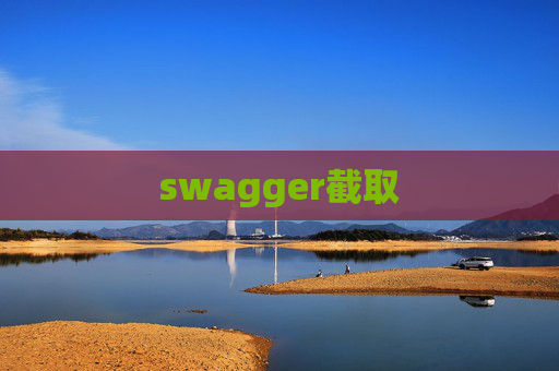 swagger截取